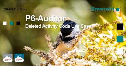 P6-Auditor - Deleted Activity Code Use Case Video